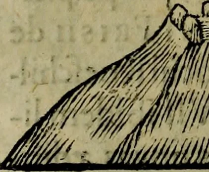 An illustration from Runir [in Runic characters], seu, Danica literatura antiqvissima, 1651, leaf 407