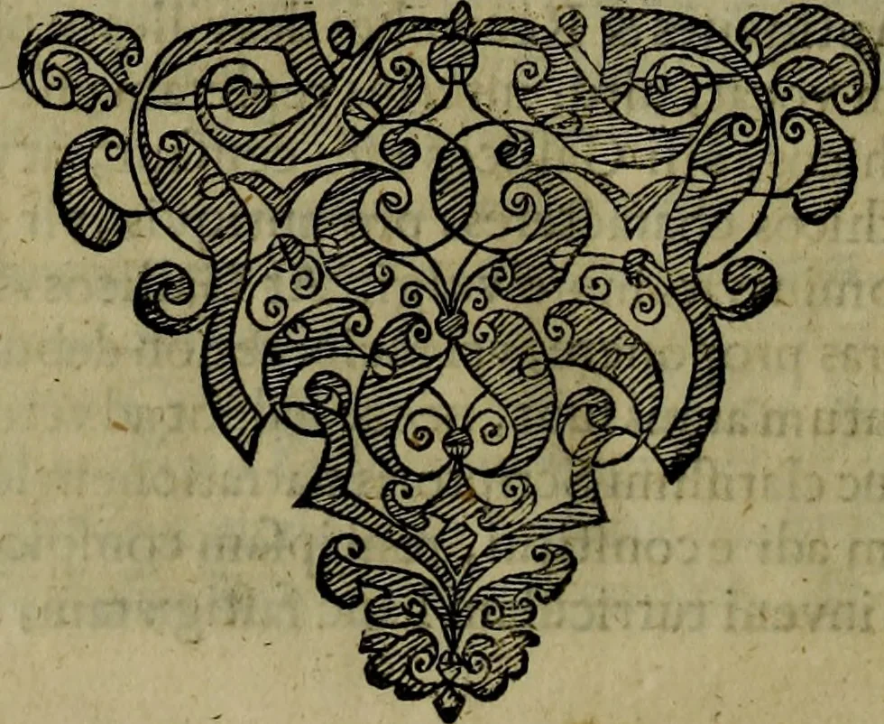 An illustration from Runir [in Runic characters], seu, Danica literatura antiqvissima, 1651, leaf 441