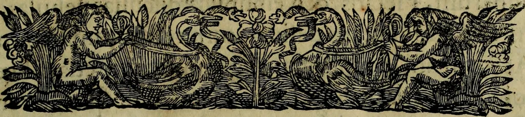 An illustration from Runir [in Runic characters], seu, Danica literatura antiqvissima, 1651, leaf 6