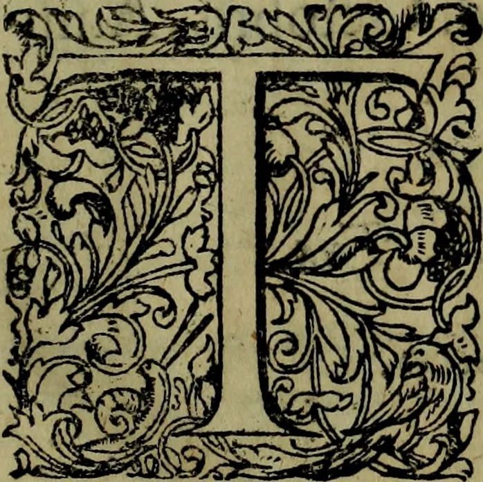 An illustration from Runir [in Runic characters], seu, Danica literatura antiqvissima, 1651, leaf 6