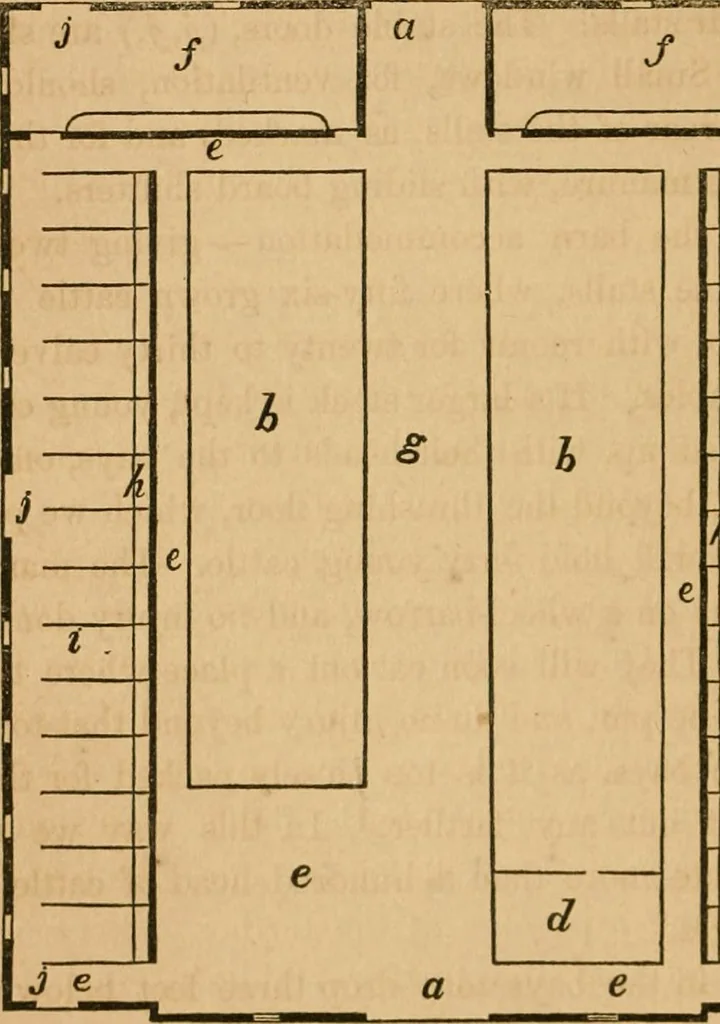 An illustration from Rural architecture : being a complete description of farm houses, cottages and out buildings ... together with lawns, pleasure grounds and parks; the flower, fruit and vegetable gardens : also, useful and ornamental domestic animals for the country resident ... also, the best method of conducting water into cattle yards and houses, 1860, leaf 313