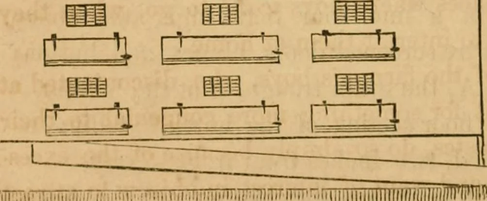 An illustration from Rural architecture : being a complete description of farm houses, cottages and out buildings ... together with lawns, pleasure grounds and parks; the flower, fruit and vegetable gardens : also, useful and ornamental domestic animals for the country resident ... also, the best method of conducting water into cattle yards and houses, 1860, leaf 335
