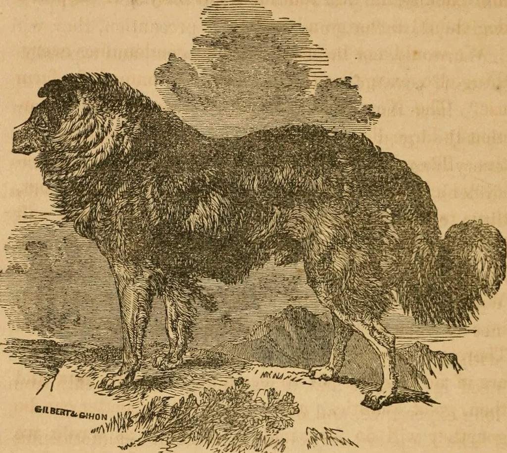 An illustration from Rural architecture : being a complete description of farm houses, cottages and out buildings ... together with lawns, pleasure grounds and parks; the flower, fruit and vegetable gardens : also, useful and ornamental domestic animals for the country resident ... also, the best method of conducting water into cattle yards and houses, 1860, leaf 379