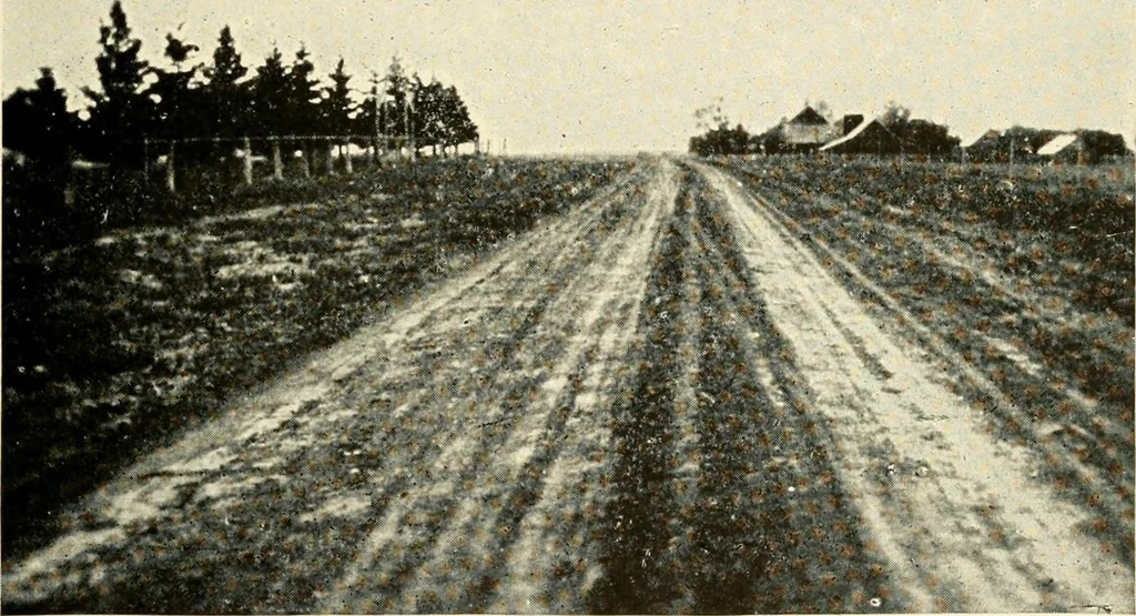 An illustration from Rural church life in the Middle West, as illustrated by Clay County, Iowa, and Jennings County, Indiana, with comparative data from studies of thirty-five middle western counties, 1922, leaf 24