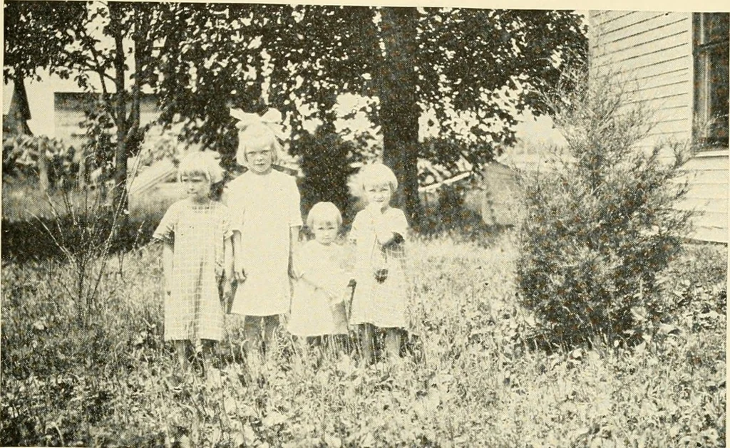 An illustration from Rural church life in the Middle West, as illustrated by Clay County, Iowa, and Jennings County, Indiana, with comparative data from studies of thirty-five middle western counties, 1922, leaf 26