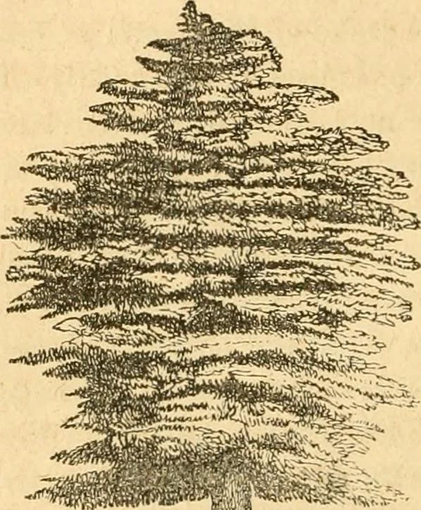 An illustration from Rural essays, 1853, leaf 417
