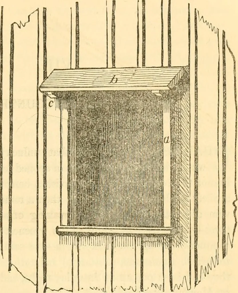 An illustration from Rural essays, 1853, leaf 336