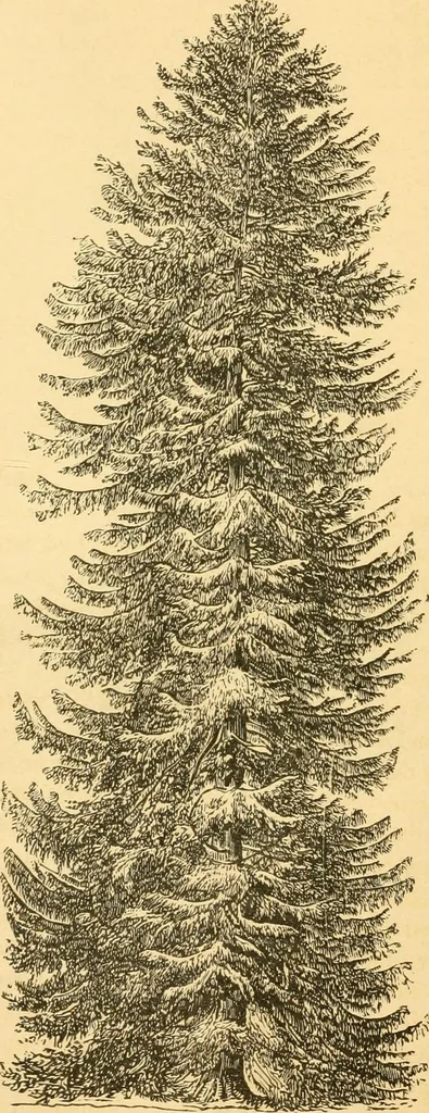 An illustration from Rural essays, 1853, leaf 379