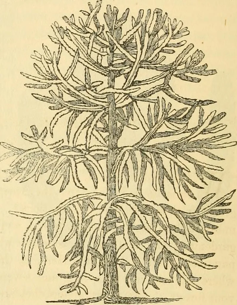 An illustration from Rural essays, 1853, leaf 419