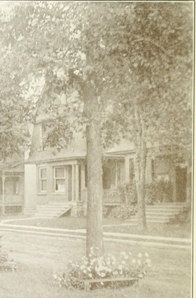 An illustration from Rural planning and development, a study of rural conditions and problems in Canada, 1917, leaf 124