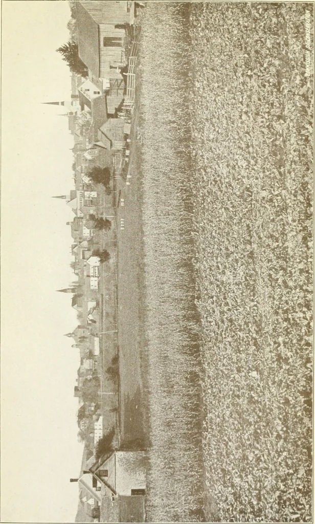 An illustration from Rural planning and development, a study of rural conditions and problems in Canada, 1917, leaf 242