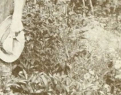 An illustration from Rural planning and development, a study of rural conditions and problems in Canada, 1917, leaf 290