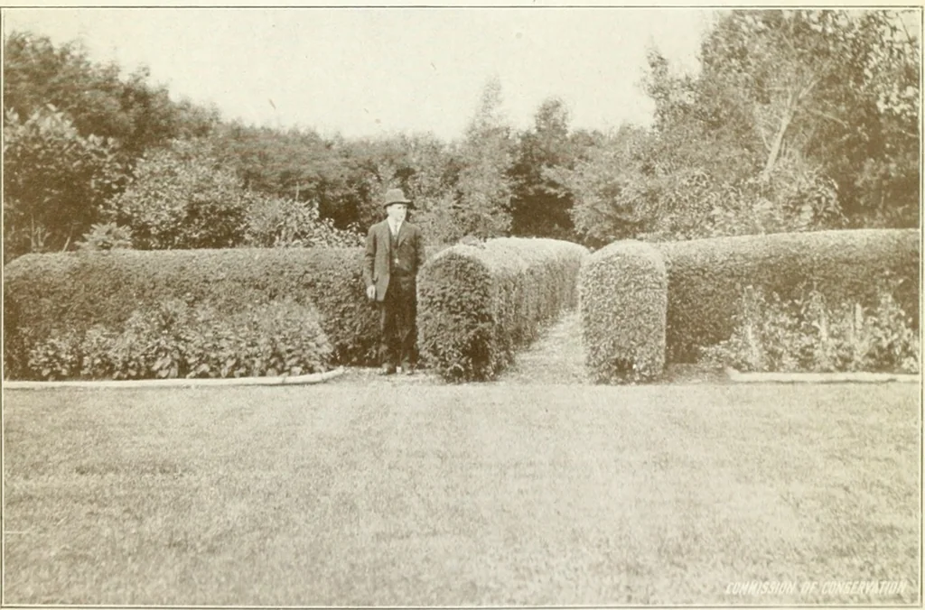 An illustration from Rural planning and development, a study of rural conditions and problems in Canada, 1917, leaf 290