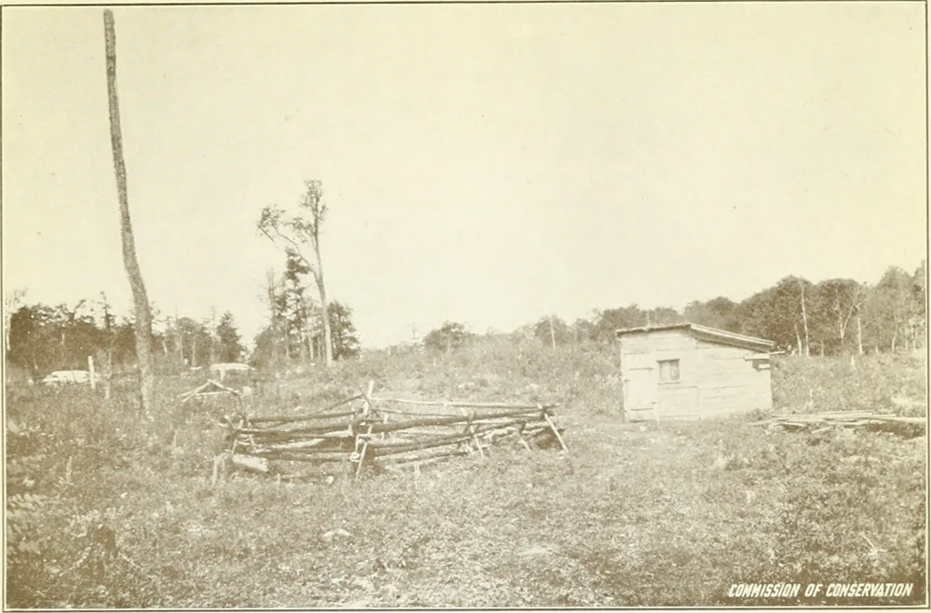 An illustration from Rural planning and development, a study of rural conditions and problems in Canada, 1917, leaf 48