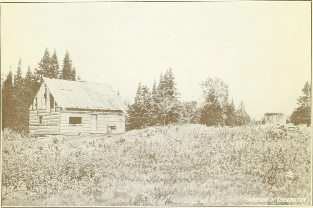 An illustration from Rural planning and development, a study of rural conditions and problems in Canada, 1917, leaf 48