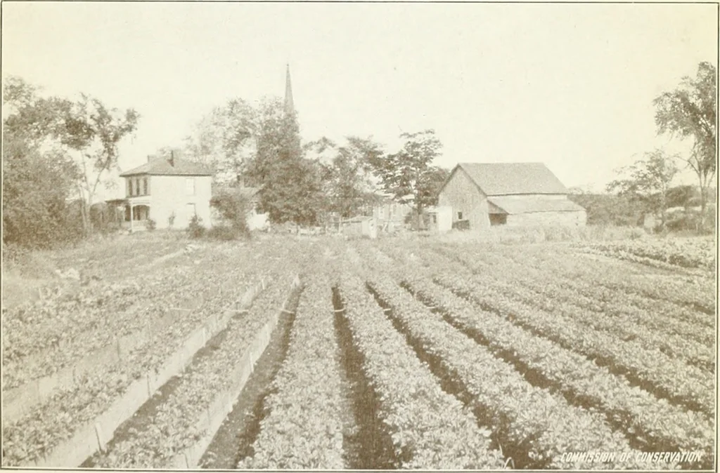An illustration from Rural planning and development, a study of rural conditions and problems in Canada, 1917, leaf 58