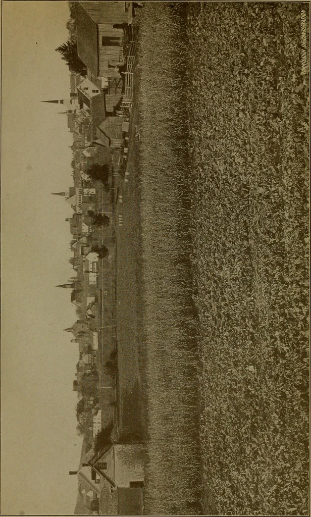 An illustration from Rural planning and development; a study of rural conditions and problems in Canada, 1917, leaf 246