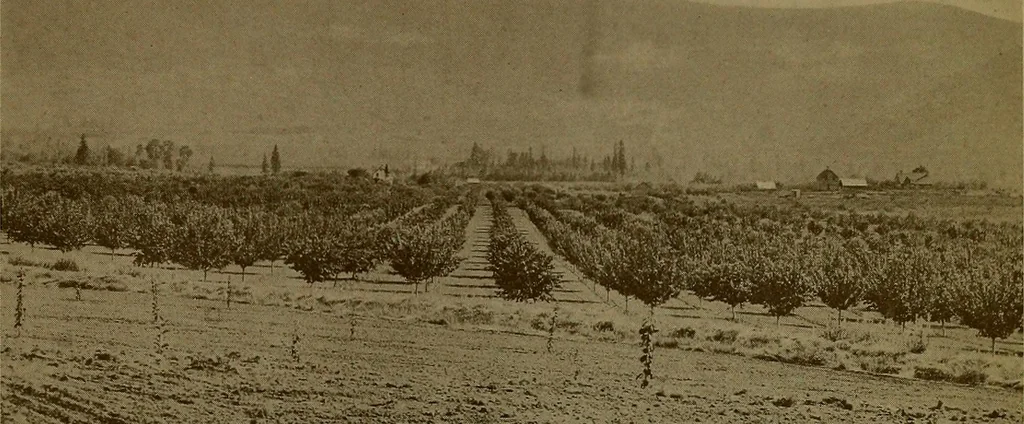 An illustration from Rural planning and development; a study of rural conditions and problems in Canada, 1917, leaf 274