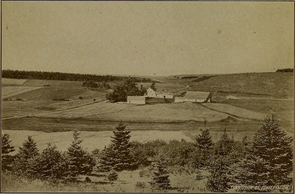 An illustration from Rural planning and development; a study of rural conditions and problems in Canada, 1917, leaf 274