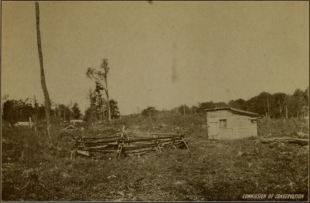 An illustration from Rural planning and development; a study of rural conditions and problems in Canada, 1917, leaf 48