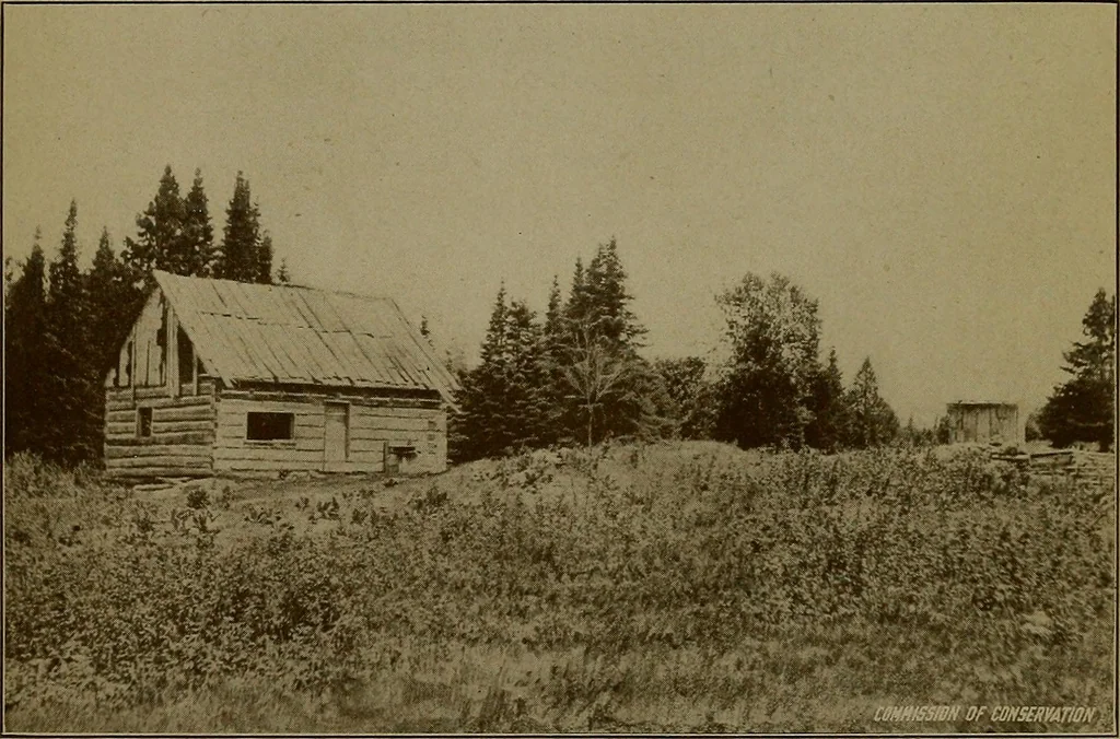 An illustration from Rural planning and development; a study of rural conditions and problems in Canada, 1917, leaf 48