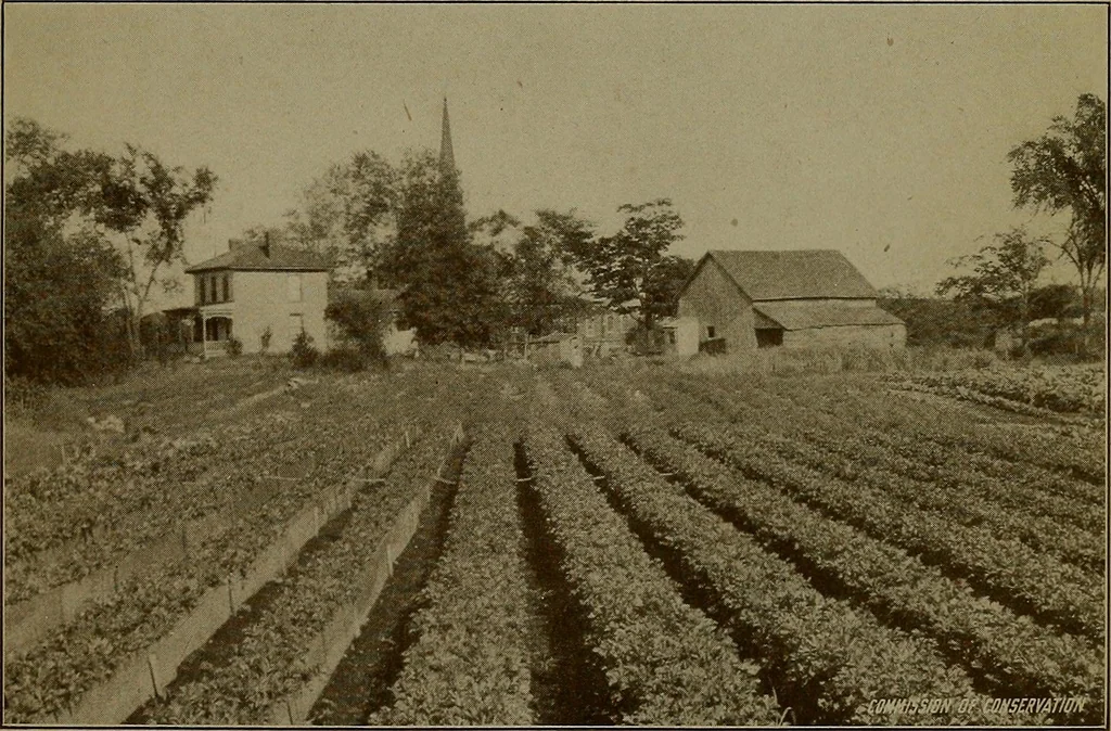 An illustration from Rural planning and development; a study of rural conditions and problems in Canada, 1917, leaf 58