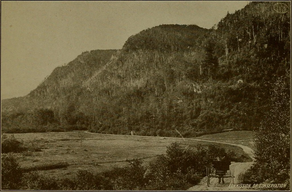 An illustration from Rural planning and development; a study of rural conditions and problems in Canada, 1917, leaf 76