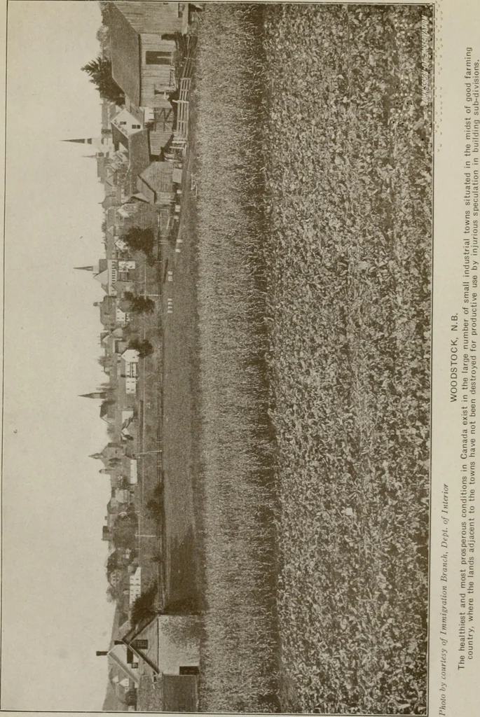 An illustration from Rural planning and development; a study of rural conditions and problems in Canada, 1917, leaf 246