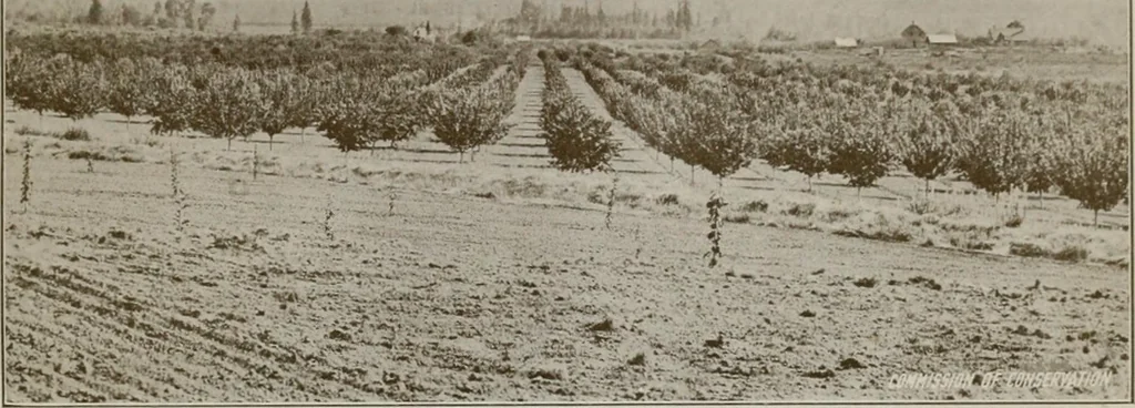 An illustration from Rural planning and development; a study of rural conditions and problems in Canada, 1917, leaf 274