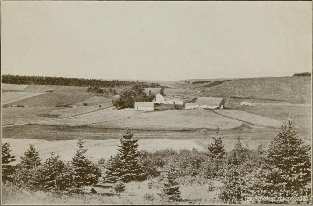 An illustration from Rural planning and development; a study of rural conditions and problems in Canada, 1917, leaf 274