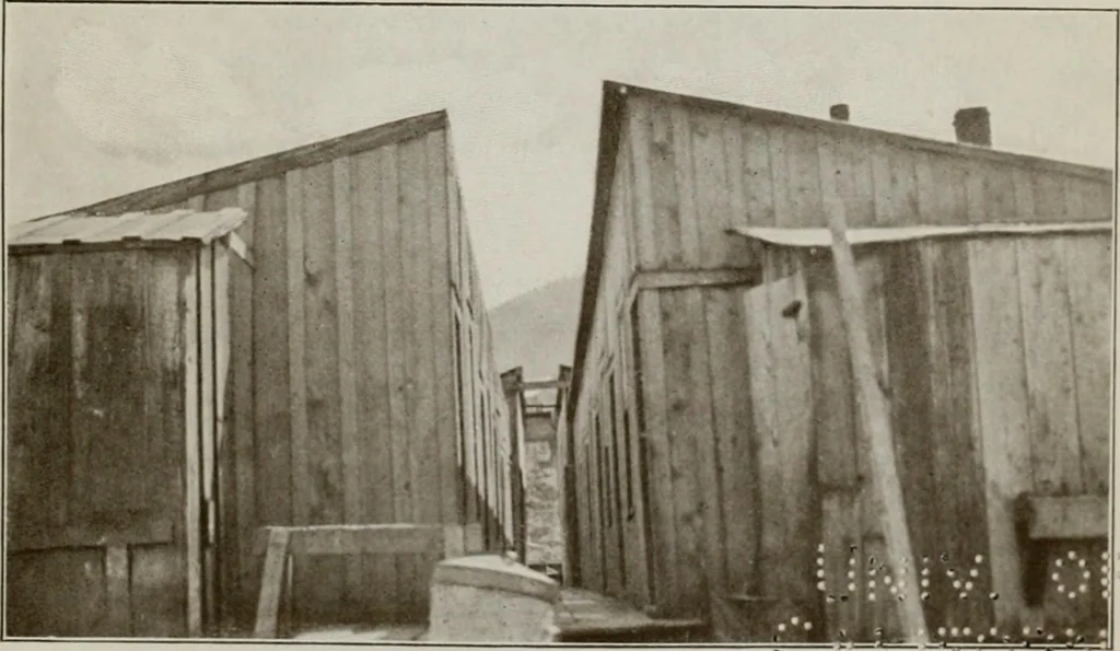 An illustration from Rural planning and development; a study of rural conditions and problems in Canada, 1917, leaf 284