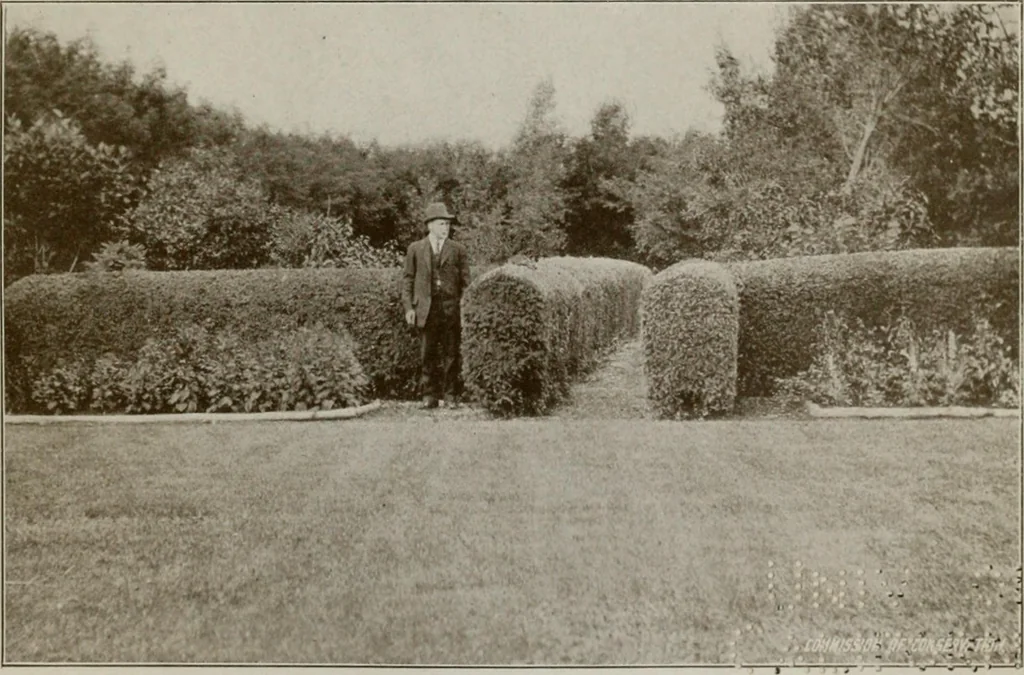 An illustration from Rural planning and development; a study of rural conditions and problems in Canada, 1917, leaf 294