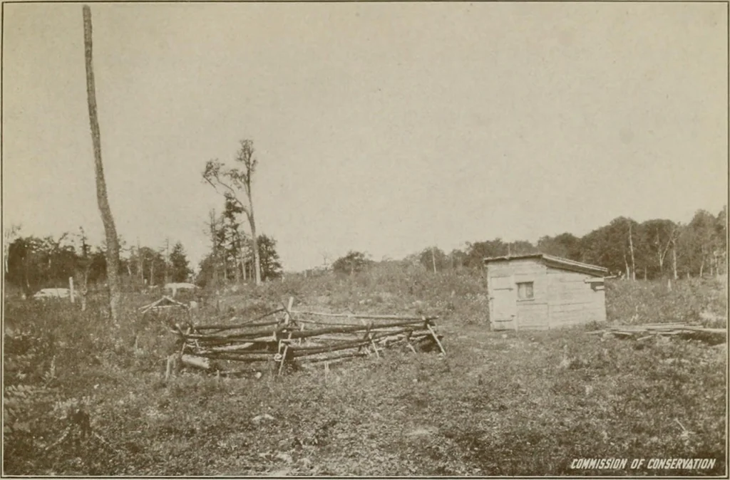 An illustration from Rural planning and development; a study of rural conditions and problems in Canada, 1917, leaf 48