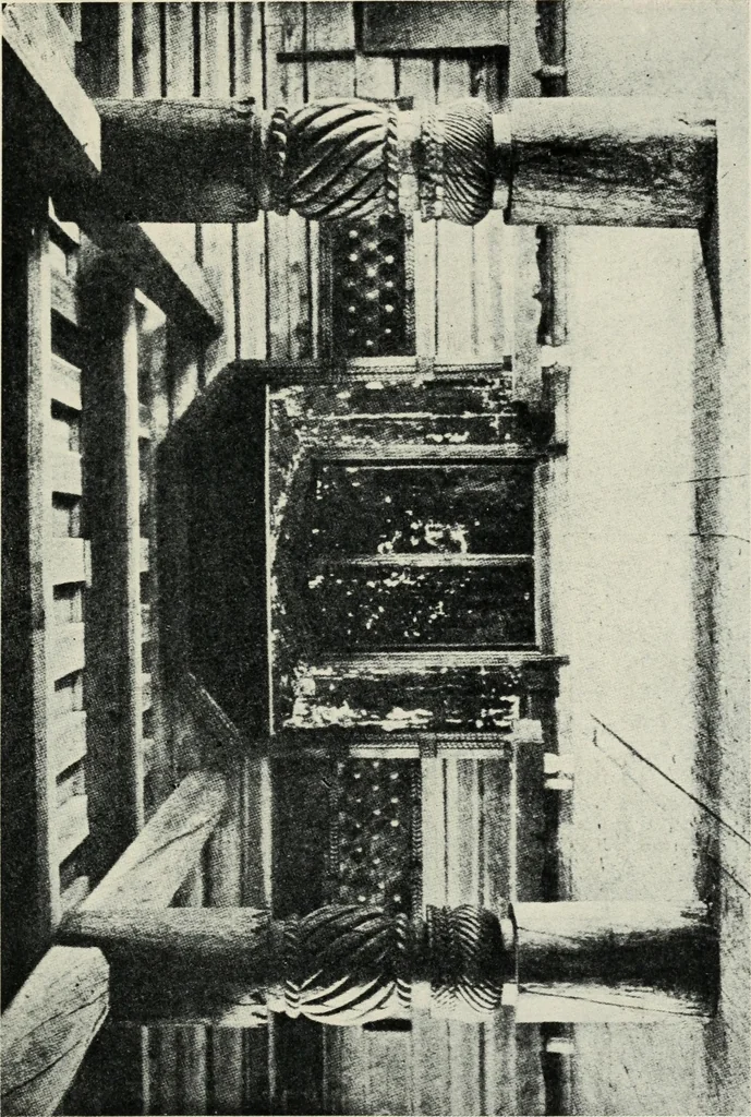 An illustration from Russian festivals and costumes for pageant and dance, 1921, leaf 112