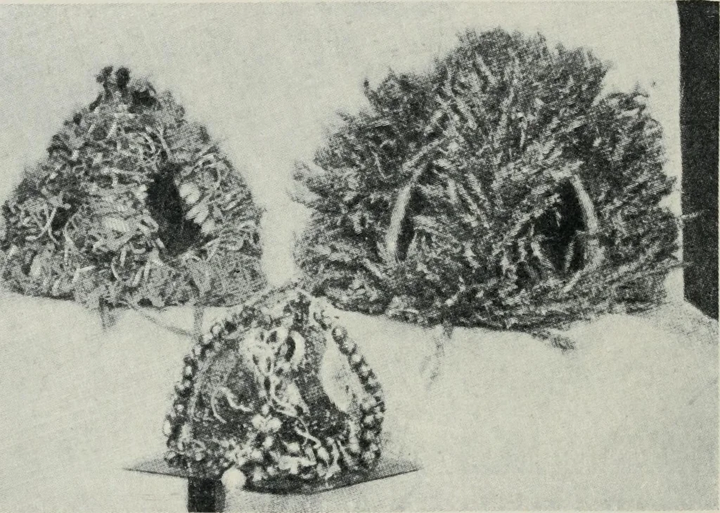An illustration from Russian festivals and costumes for pageant and dance, 1921, leaf 145
