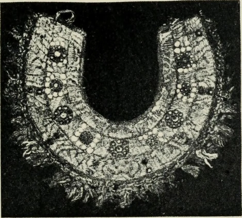An illustration from Russian festivals and costumes for pageant and dance, 1921, leaf 88