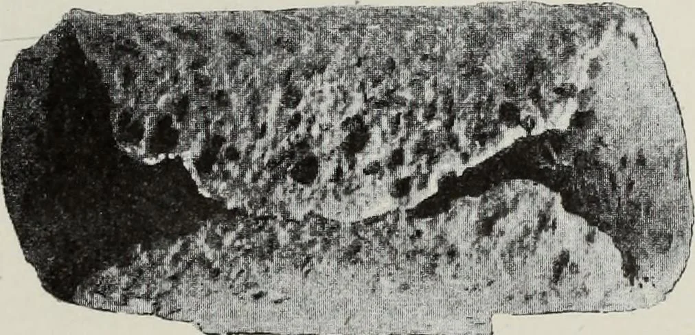 An illustration from Russkiia drevnosti v pamiatnikakh iskusstva, 1889, leaf 102