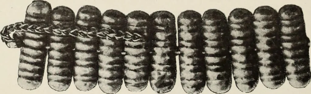 An illustration from Russkiia drevnosti v pamiatnikakh iskusstva, 1889, leaf 121