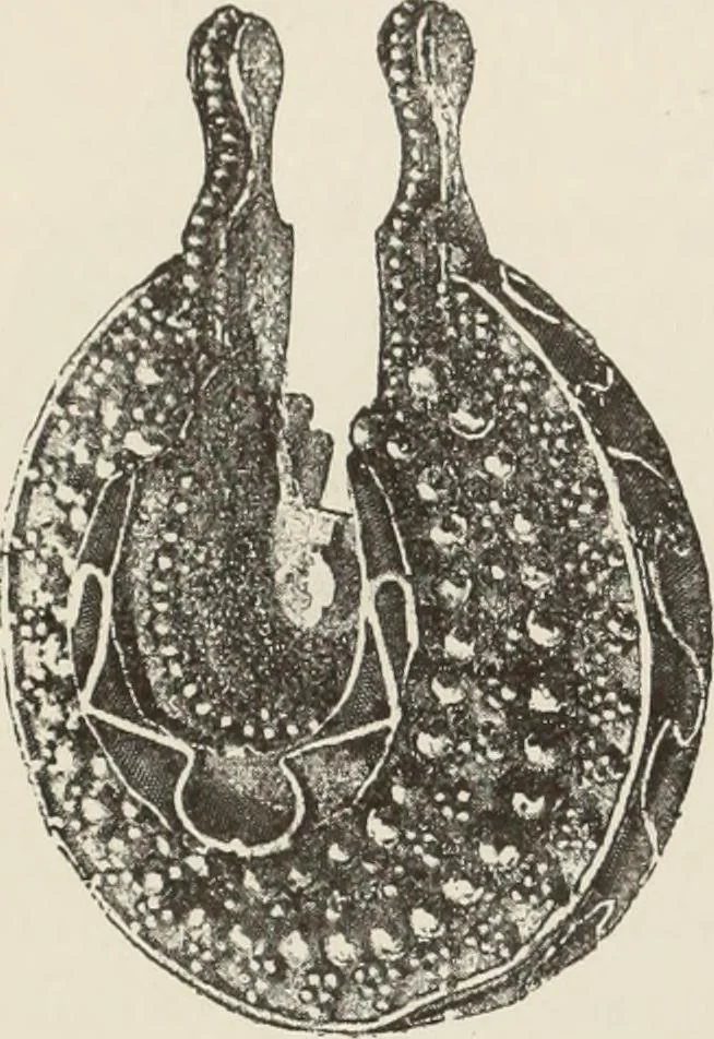 An illustration from Russkiia drevnosti v pamiatnikakh iskusstva, 1889, leaf 147