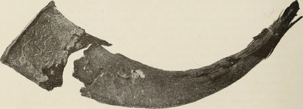 An illustration from Russkiia drevnosti v pamiatnikakh iskusstva, 1889, leaf 19