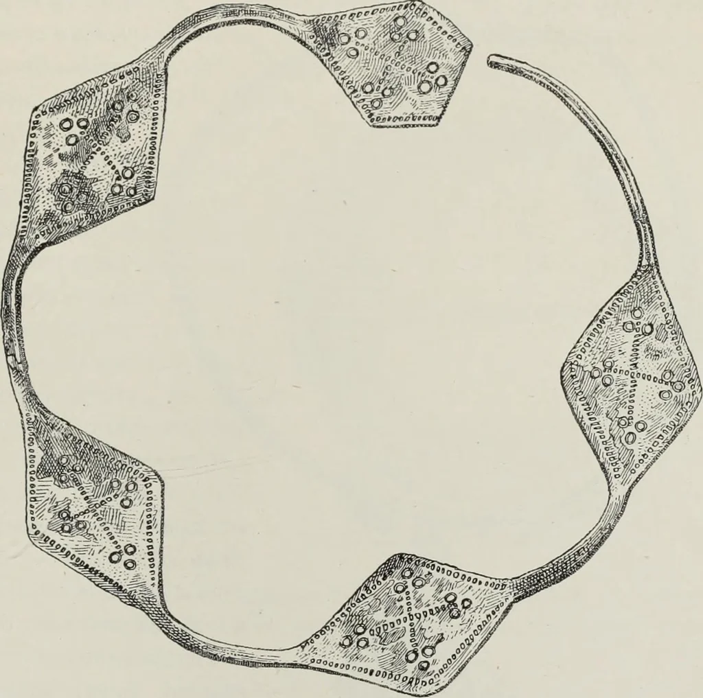 An illustration from Russkiia drevnosti v pamiatnikakh iskusstva, 1889, leaf 62