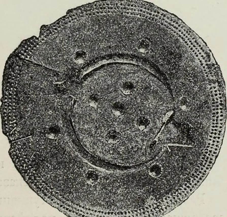 An illustration from Russkiia drevnosti v pamiatnikakh iskusstva, 1889, leaf 78