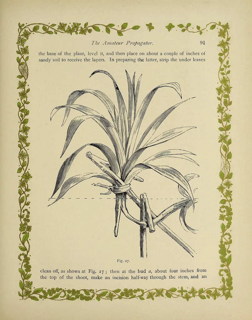 An illustration from Rustic adornments for homes of taste, 1895, leaf 105
