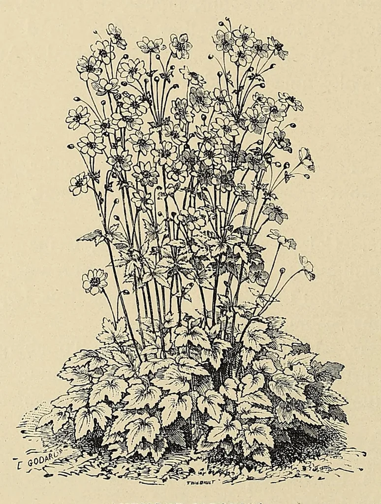 An illustration from Rustic adornments for homes of taste, 1895, leaf 144
