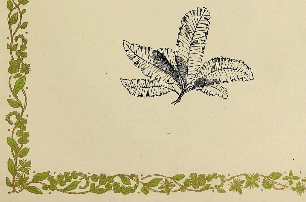 An illustration from Rustic adornments for homes of taste, 1895, leaf 259