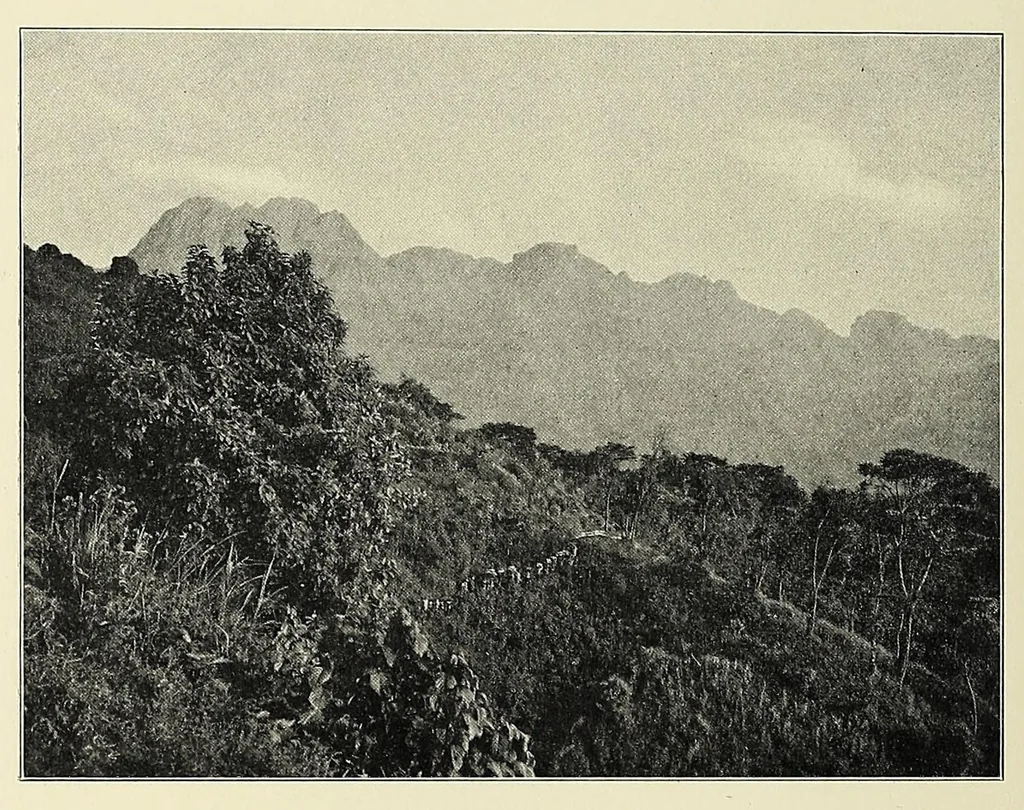 An illustration from Ruwenzori : an account of the expedition of Prince Luigi Amedeo of Savoy, duke of the Abruzzi, 1908, leaf 190