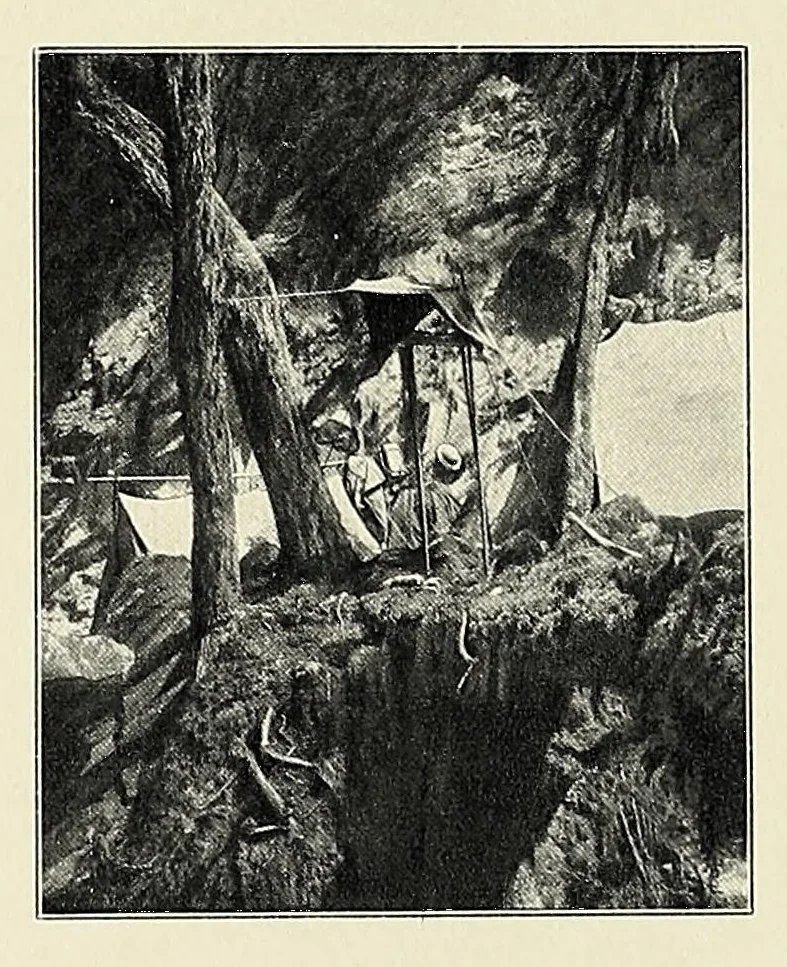 An illustration from Ruwenzori : an account of the expedition of Prince Luigi Amedeo of Savoy, duke of the Abruzzi, 1908, leaf 374