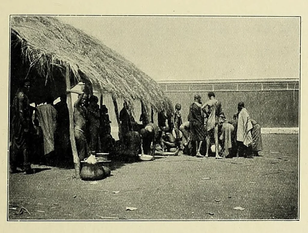 An illustration from Ruwenzori : an account of the expedition of Prince Luigi Amedeo of Savoy, duke of the Abruzzi, 1908, leaf 63