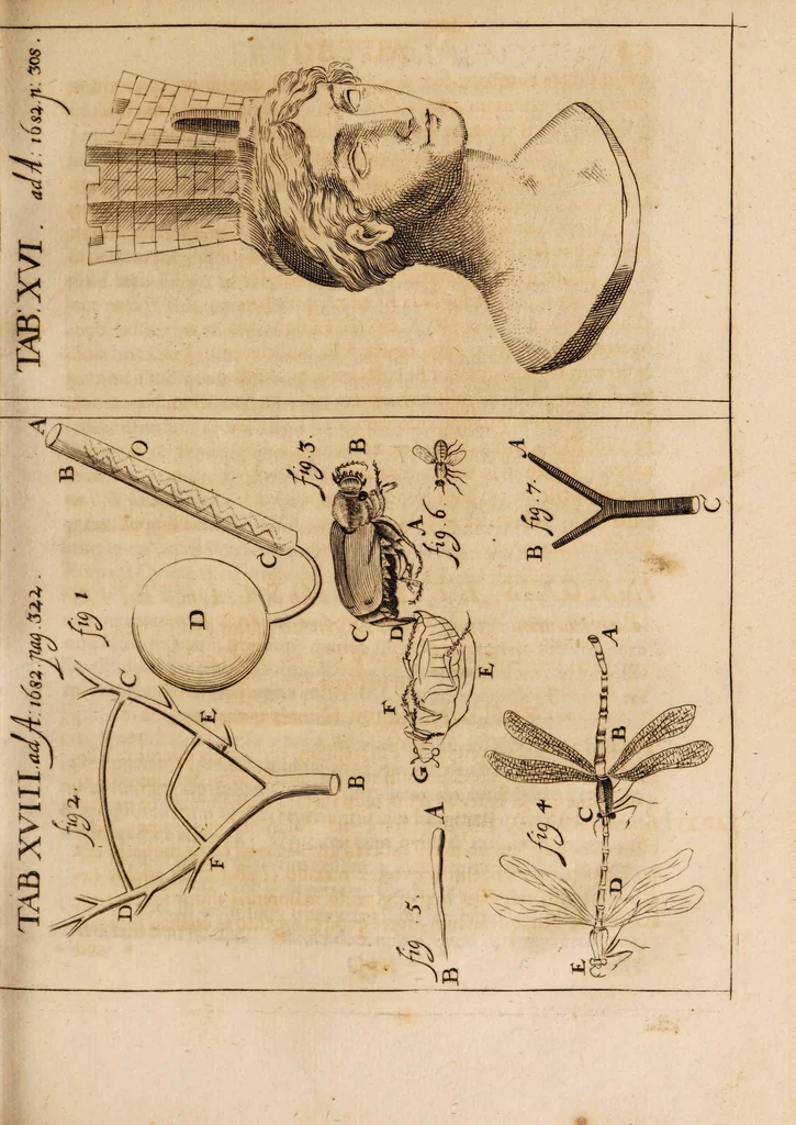 An illustration from Acta eruditorum. Acta Eruditori Tomo Supplimentorum, 1682, 1682, leaf 345