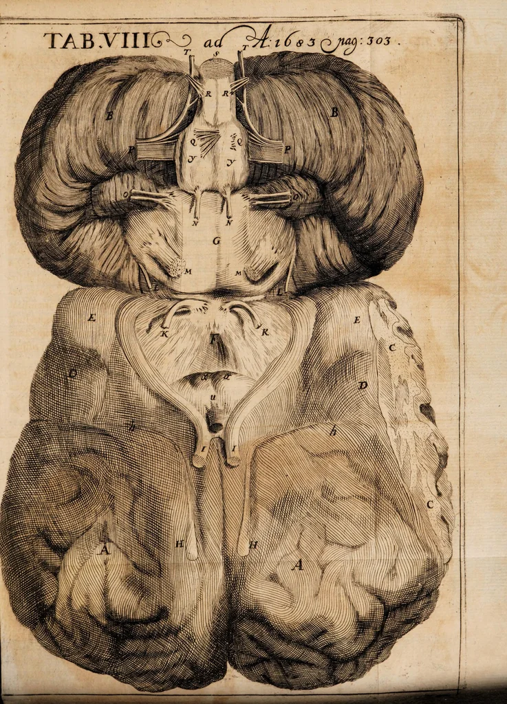 An illustration from Acta eruditorum. 1683, 1683, leaf 317